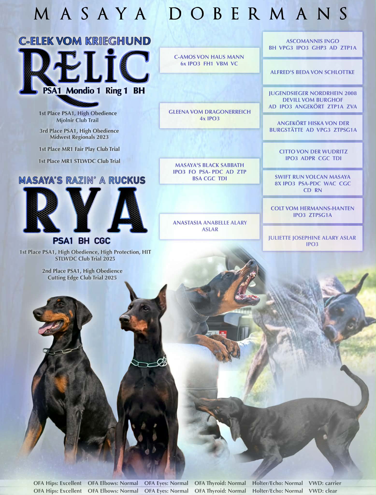 RyaRelic