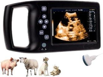 Tragbares Ultraschallgerät für Hunde
