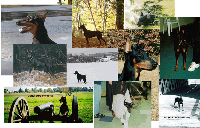 Maddy Collage