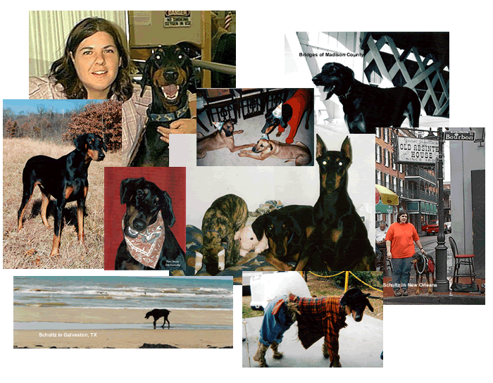 Schultz Collage